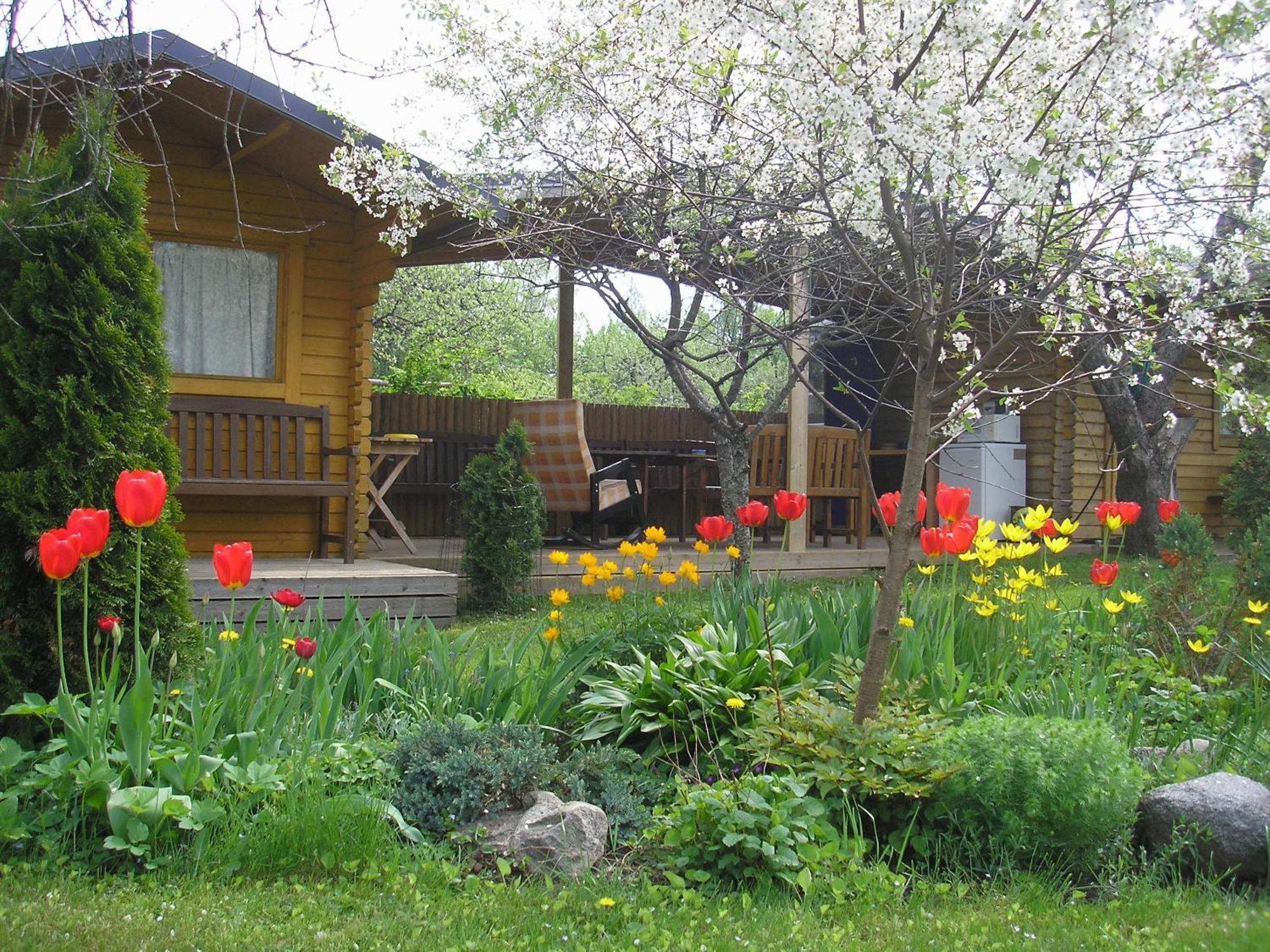 Kaare Guesthouse Viljandi  Ngoại thất bức ảnh